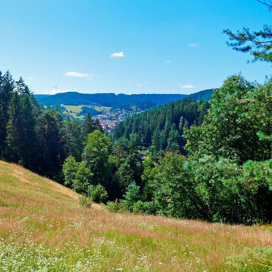 Dorfblickrunde Tennenbronn 30