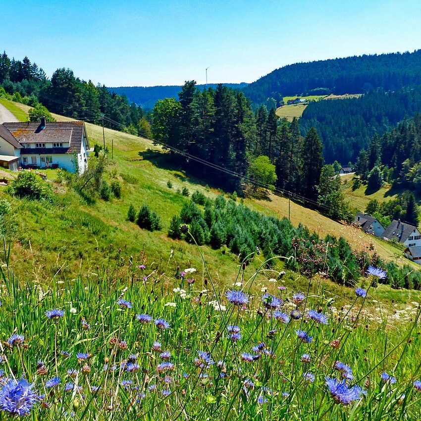 Dorfblickrunde Tennenbronn 34