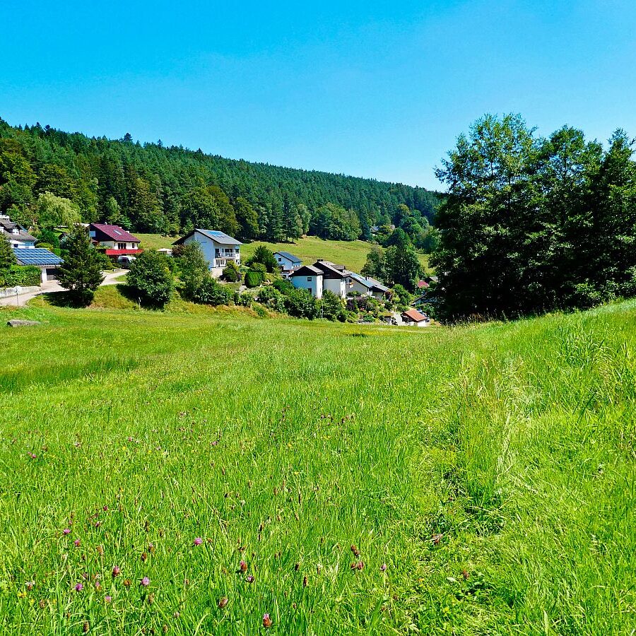 Dorfblickrunde Tennenbronn 42