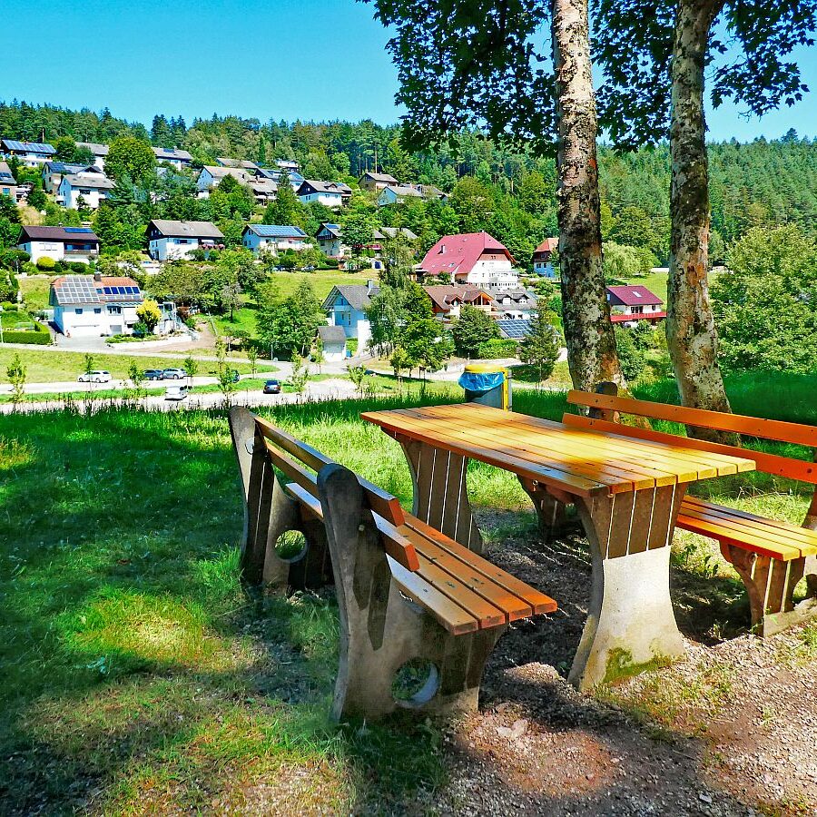 Dorfblickrunde Tennenbronn 46