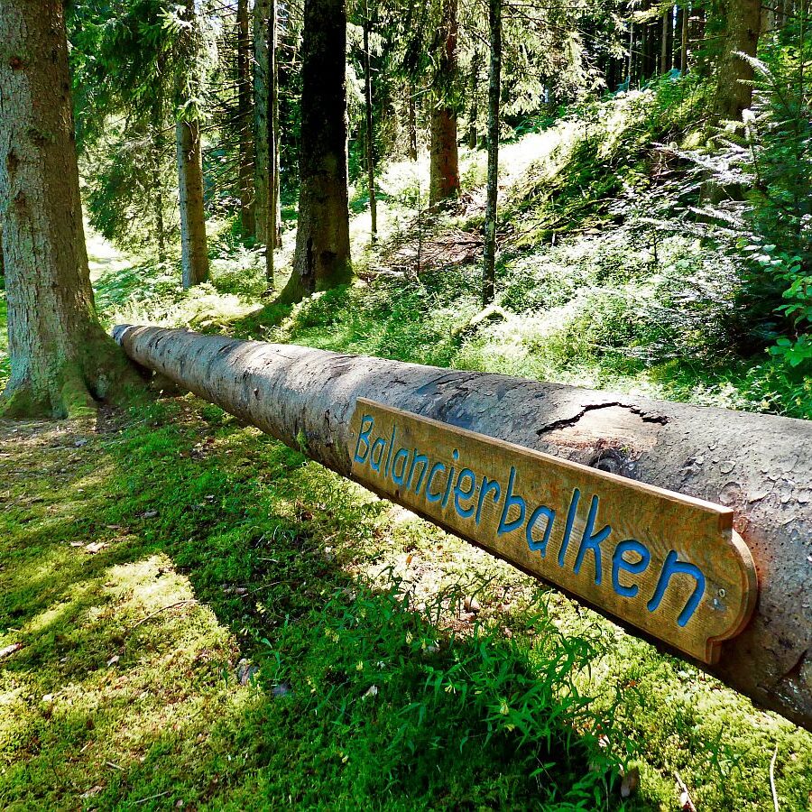 Dorfblickrunde Tennenbronn 47