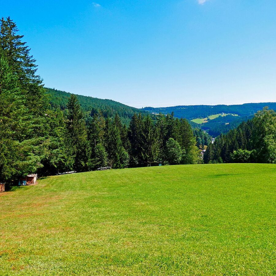 Dorfblickrunde Tennenbronn 48