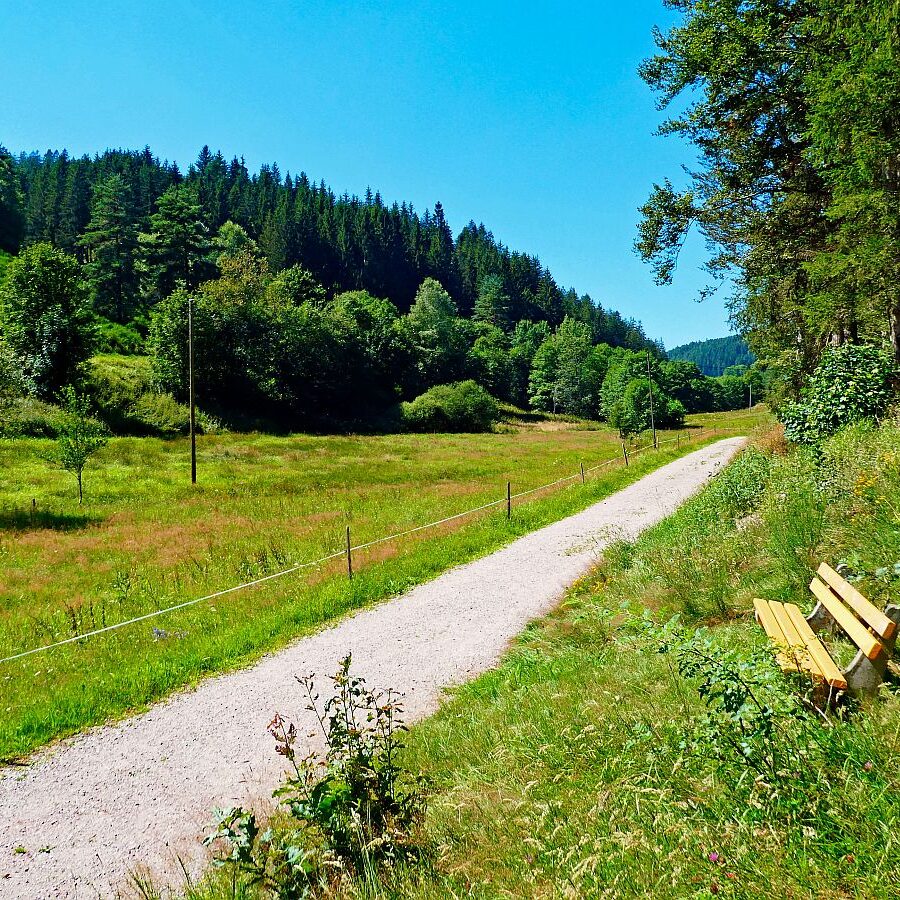 Dorfblickrunde Tennenbronn 50