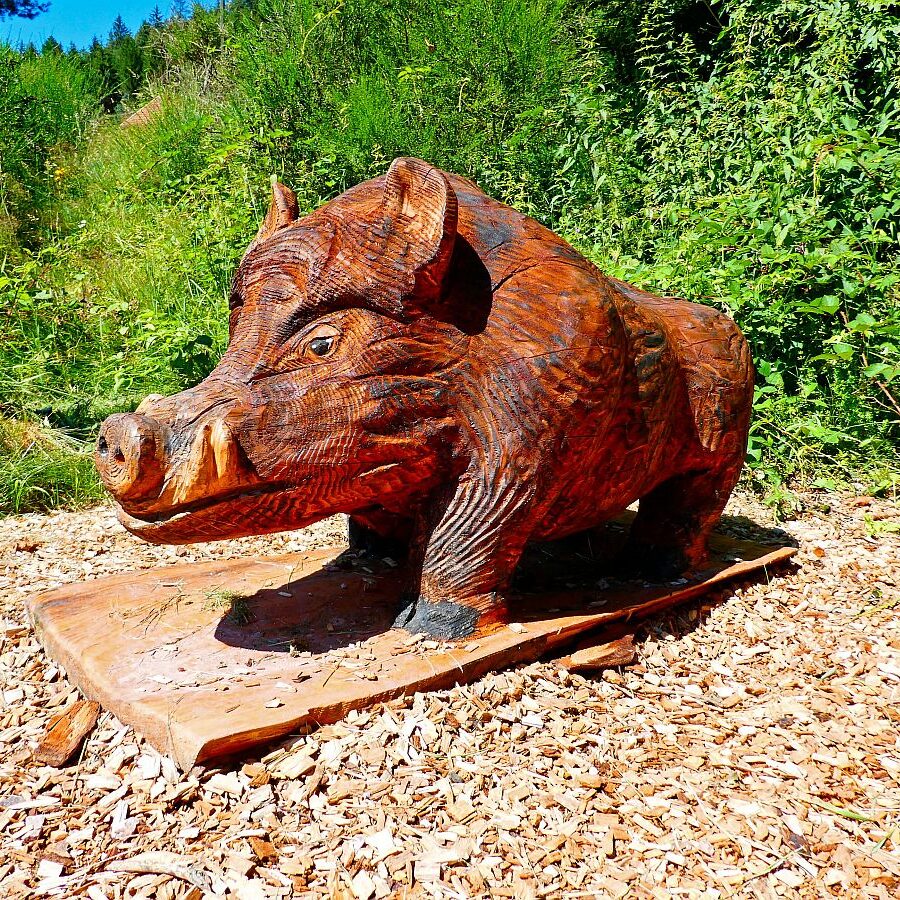 Dorfblickrunde Tennenbronn 52