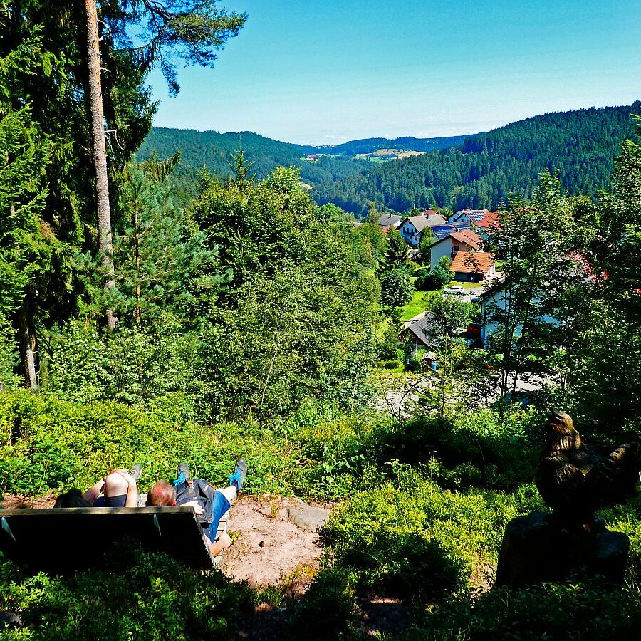 Dorfblickrunde Tennenbronn 53