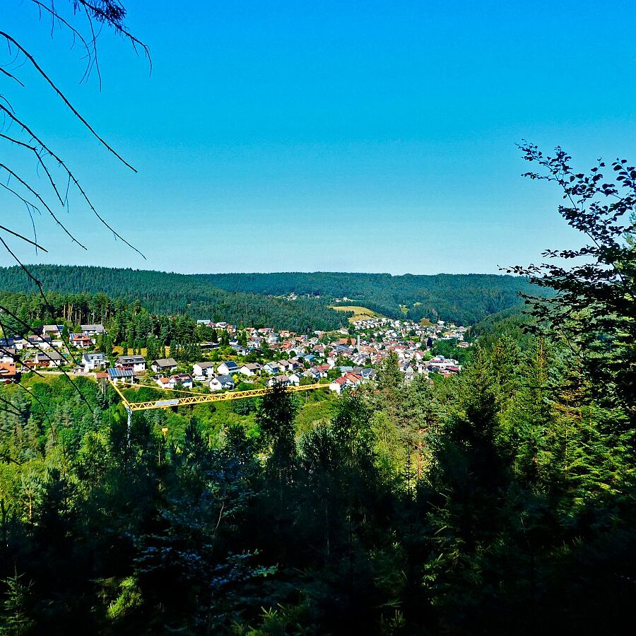 Dorfblickrunde Tennenbronn 69