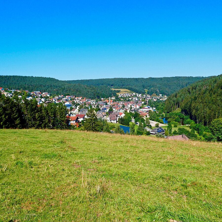 Dorfblickrunde Tennenbronn 76