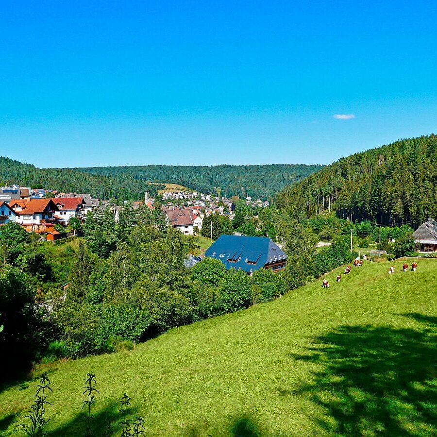 Dorfblickrunde Tennenbronn 77