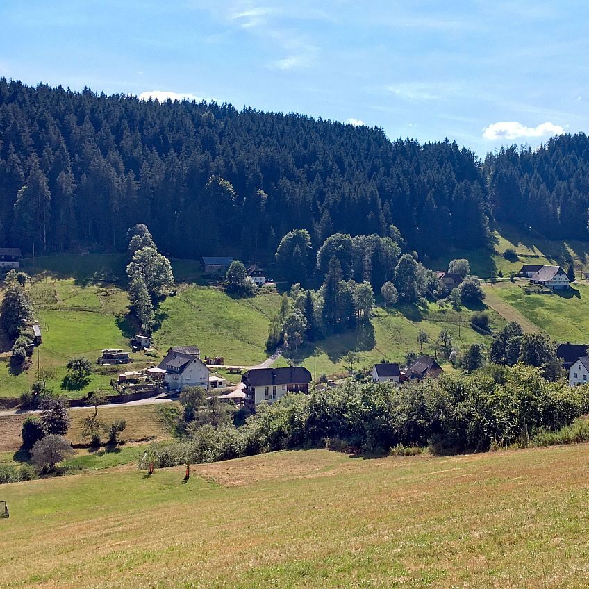 Eichbachtal Tennenbronn 02