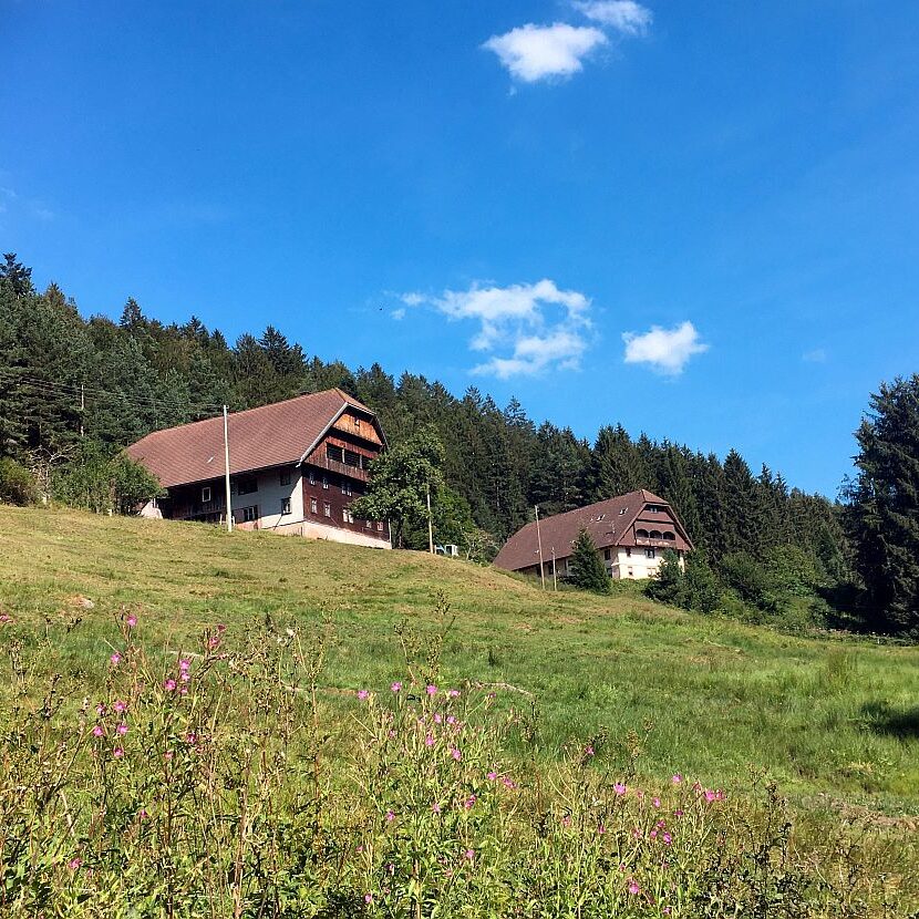 Eichbachtal Tennenbronn 03