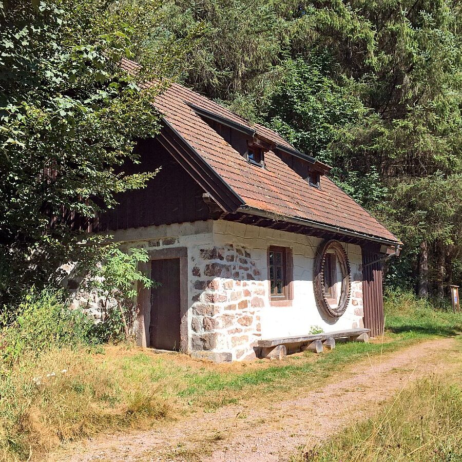 Eichbachtal Tennenbronn 04