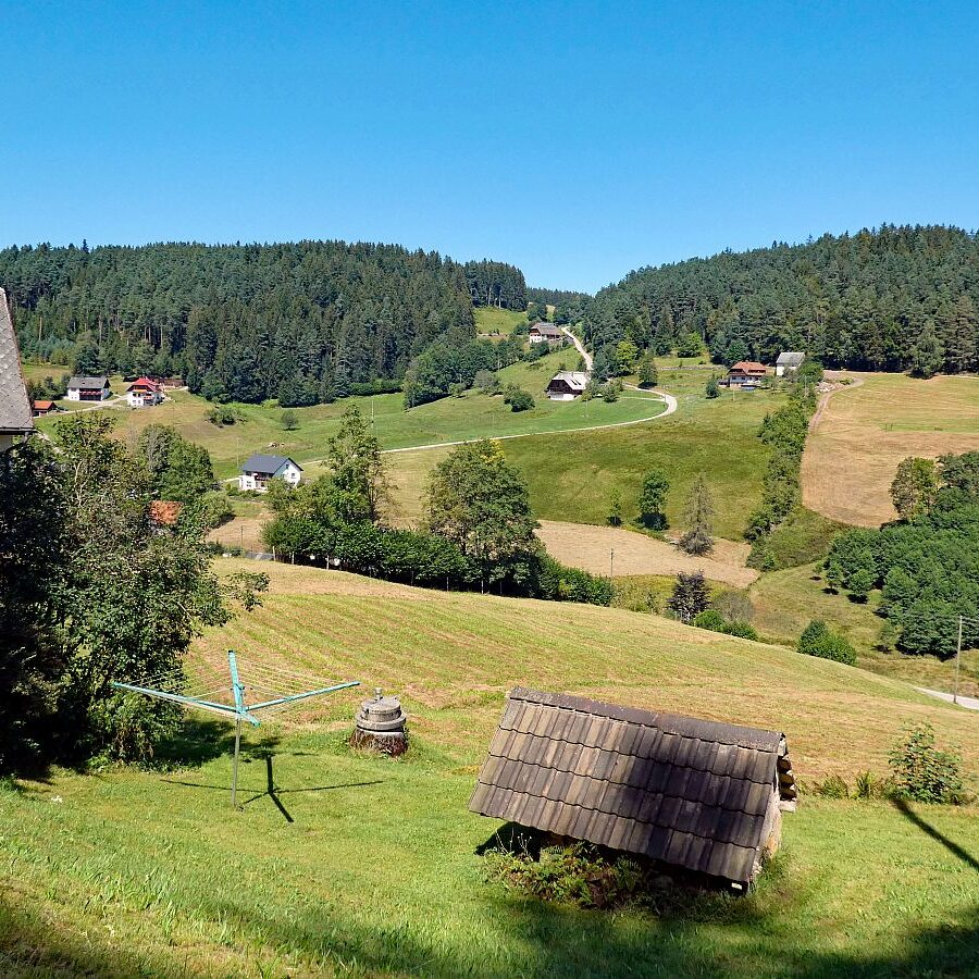 Eichbachtal Tennenbronn 05