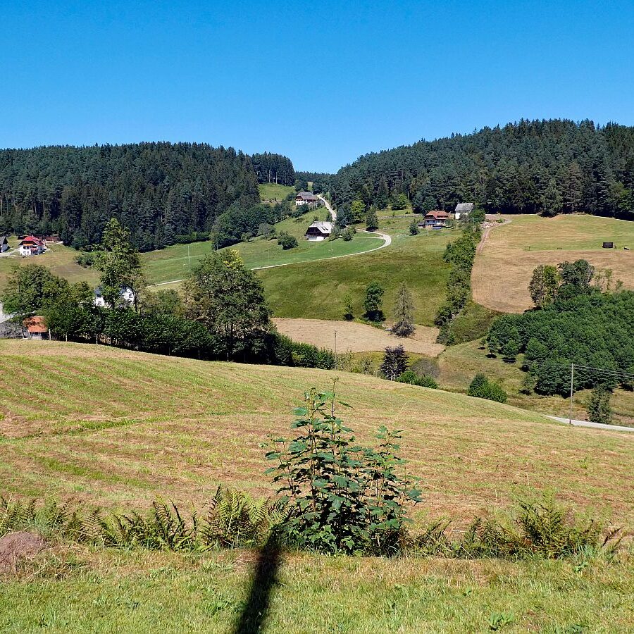 Eichbachtal Tennenbronn 06