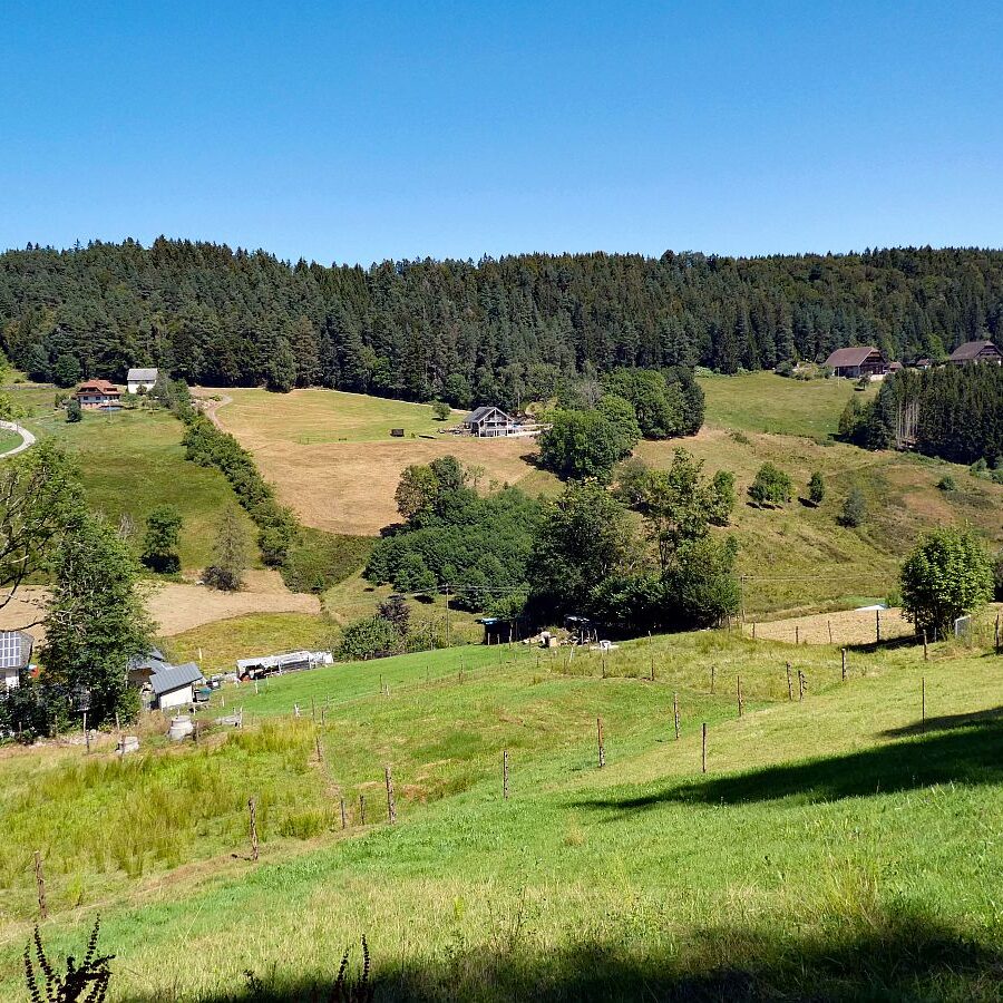 Eichbachtal Tennenbronn 07