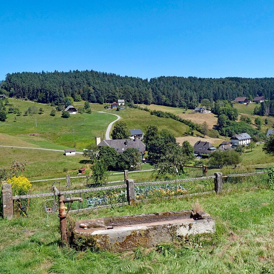 Eichbachtal Tennenbronn 08