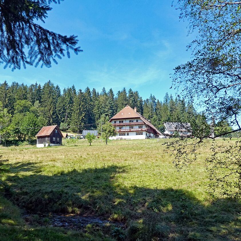 Eichbachtal Tennenbronn 09