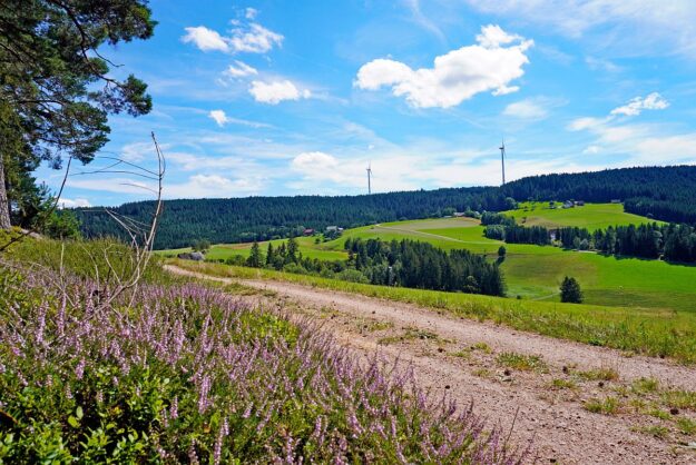 mittelberg Hub Kohlwald Leihwies Sommerberg 01 mittelberg Hub Kohlwald Leihwies Sommerberg 01