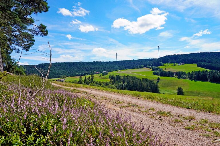mittelberg Hub Kohlwald Leihwies Sommerberg 01 mittelberg Hub Kohlwald Leihwies Sommerberg 01