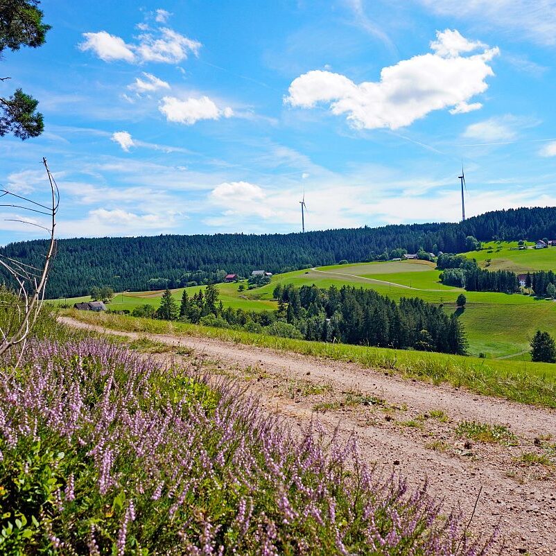 mittelberg Hub Kohlwald Leihwies Sommerberg 01