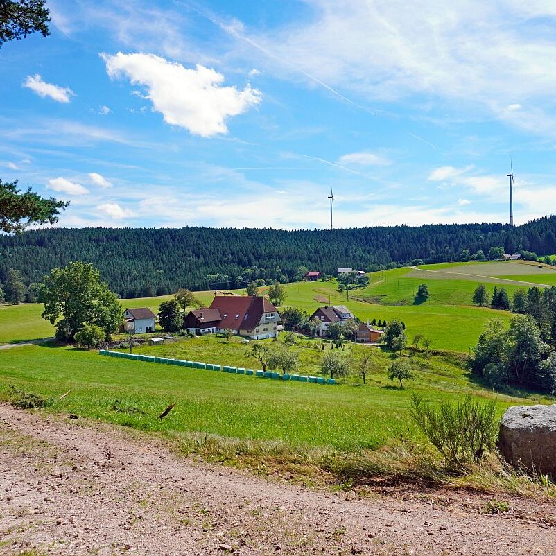 mittelberg Hub Kohlwald Leihwies Sommerberg 02