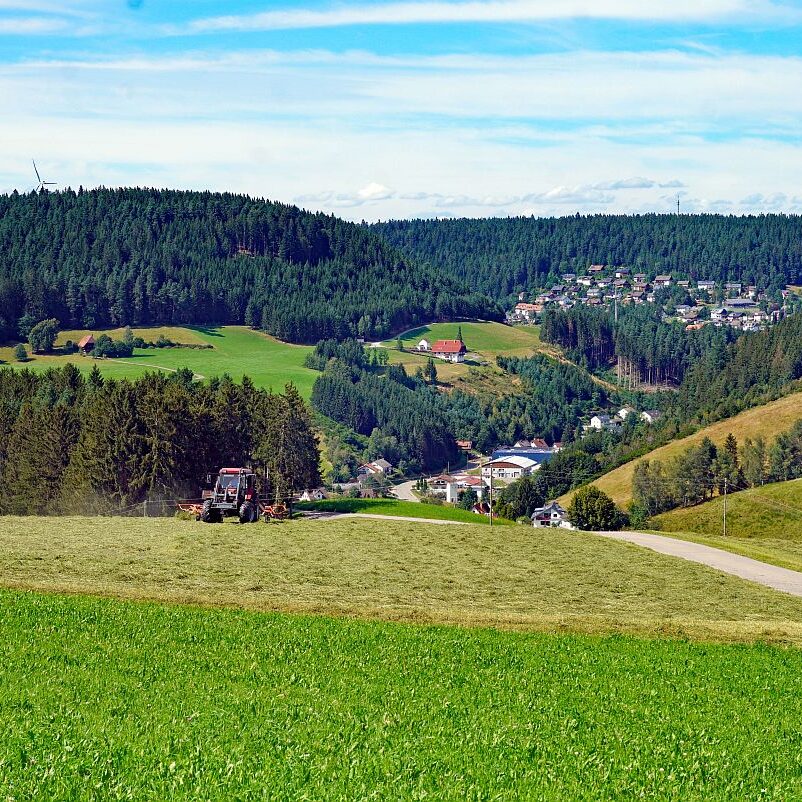 mittelberg Hub Kohlwald Leihwies Sommerberg 06