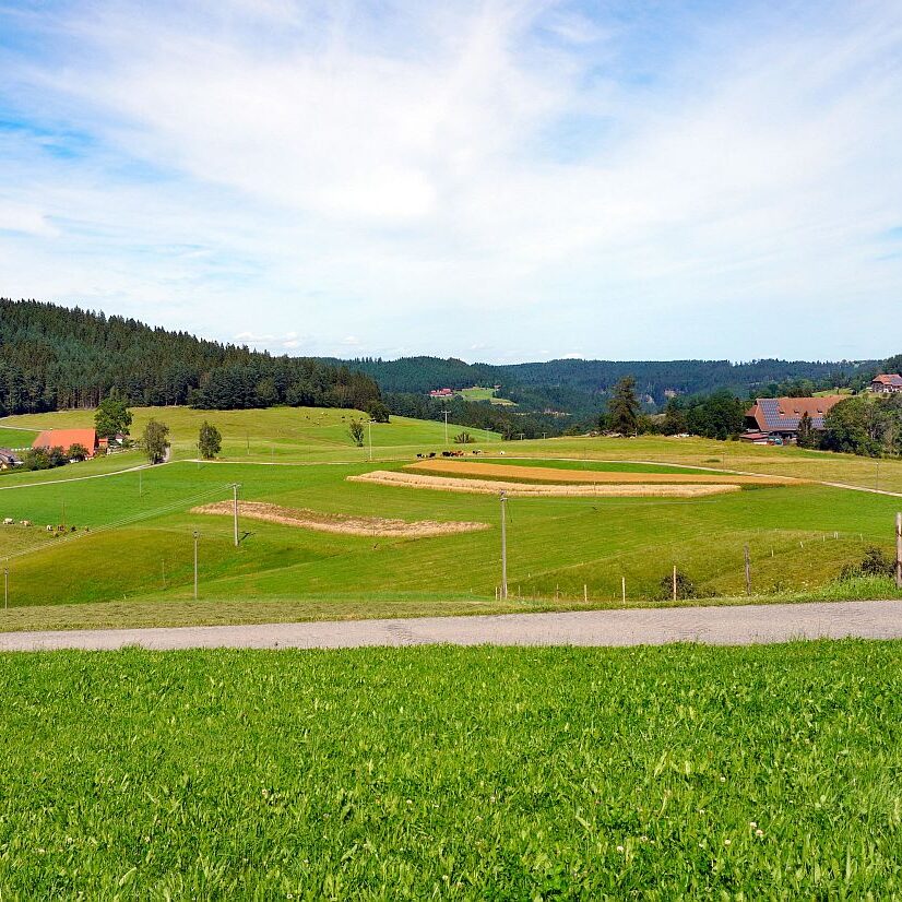 mittelberg Hub Kohlwald Leihwies Sommerberg 07