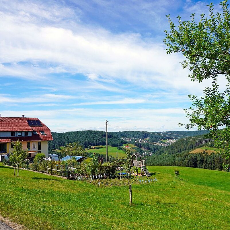 mittelberg Hub Kohlwald Leihwies Sommerberg 08