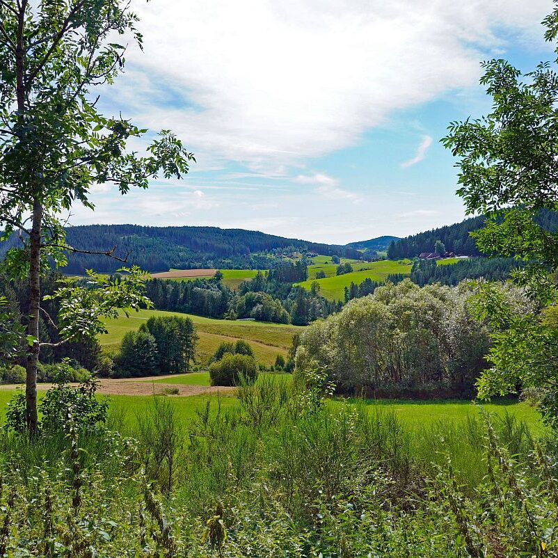 mittelberg Hub Kohlwald Leihwies Sommerberg 10