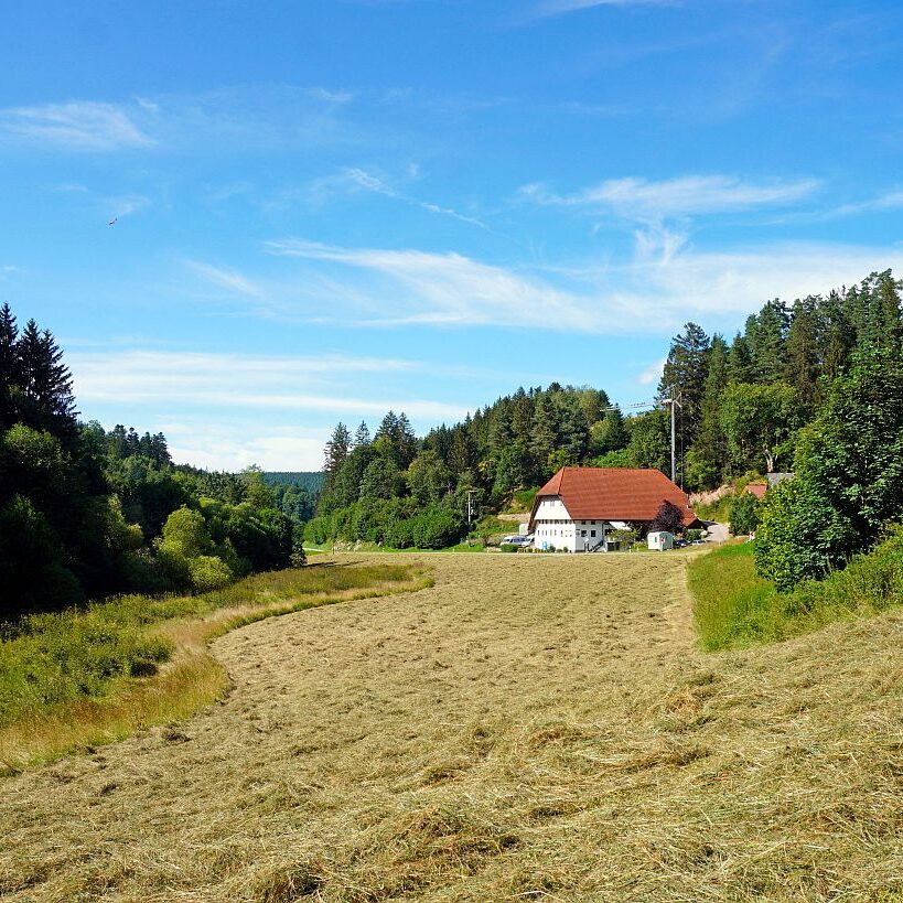 mittelberg Hub Kohlwald Leihwies Sommerberg 12