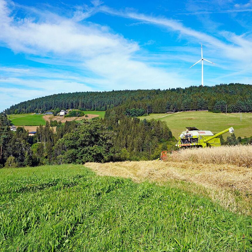 mittelberg Hub Kohlwald Leihwies Sommerberg 13