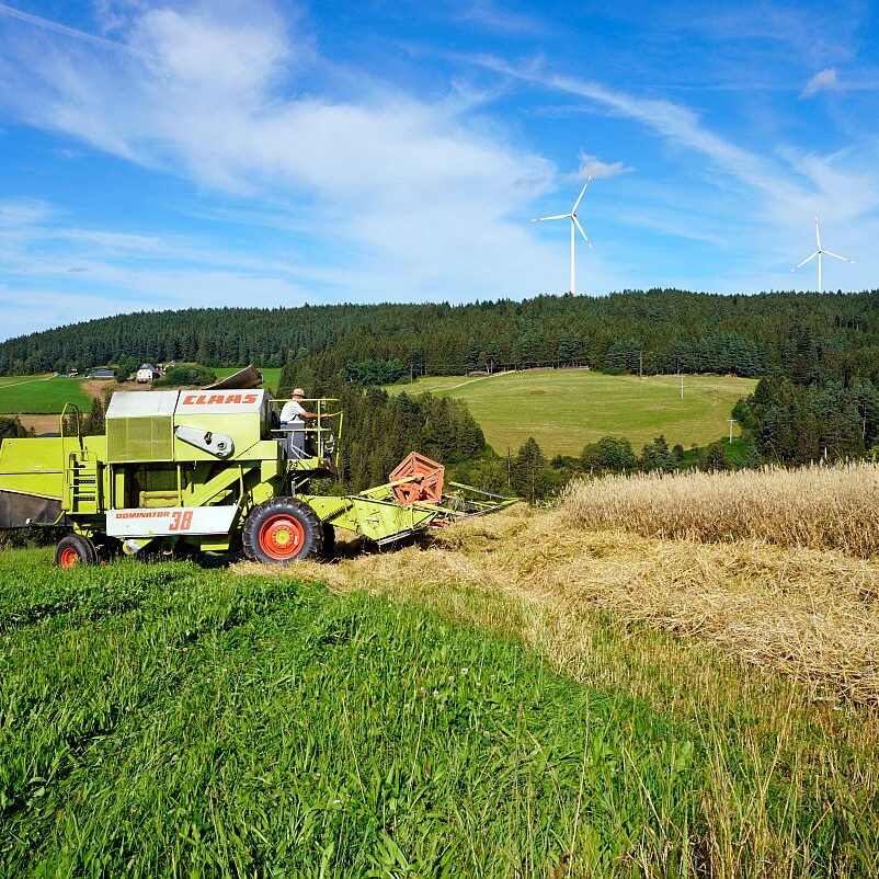 mittelberg Hub Kohlwald Leihwies Sommerberg 14