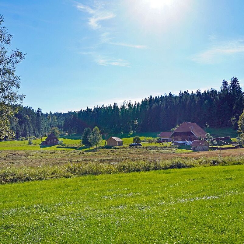 mittelberg Hub Kohlwald Leihwies Sommerberg 17