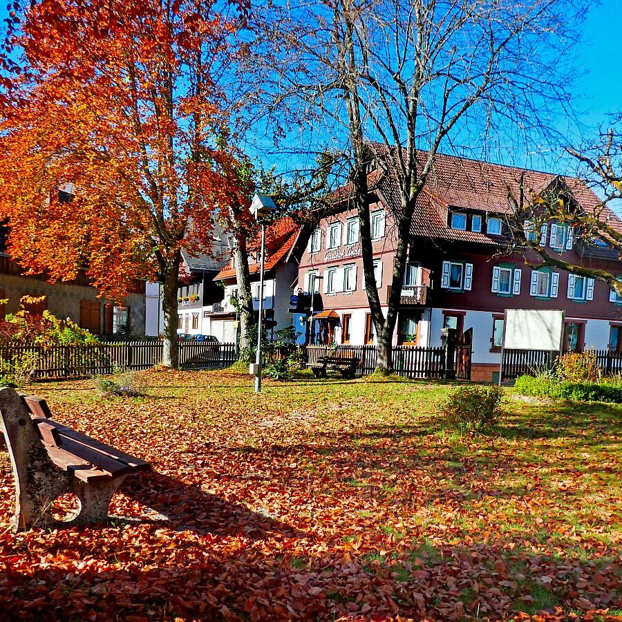 Herbst im Dorf 07