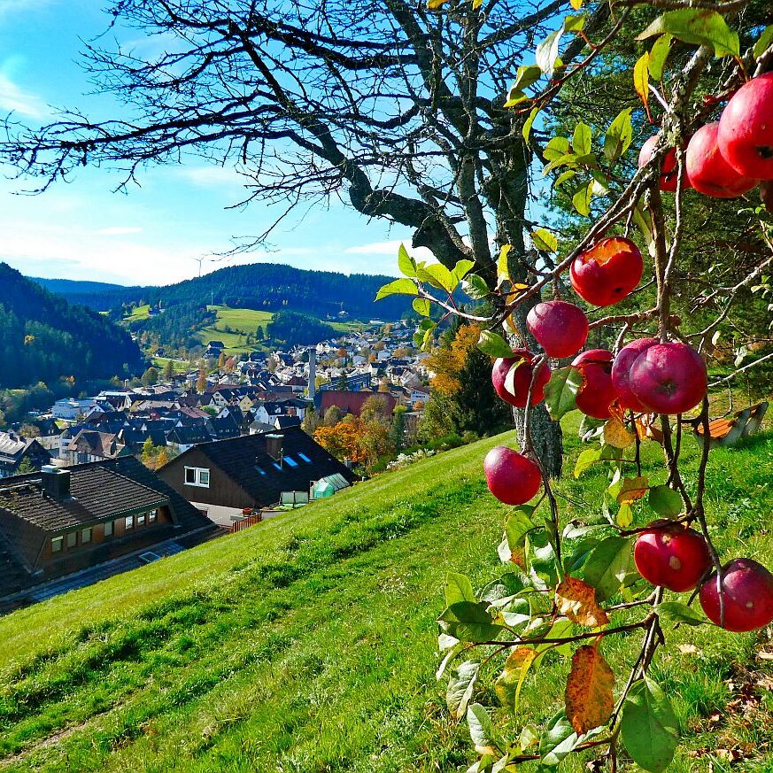 Herbst Dorfberg Bühl Halde 05