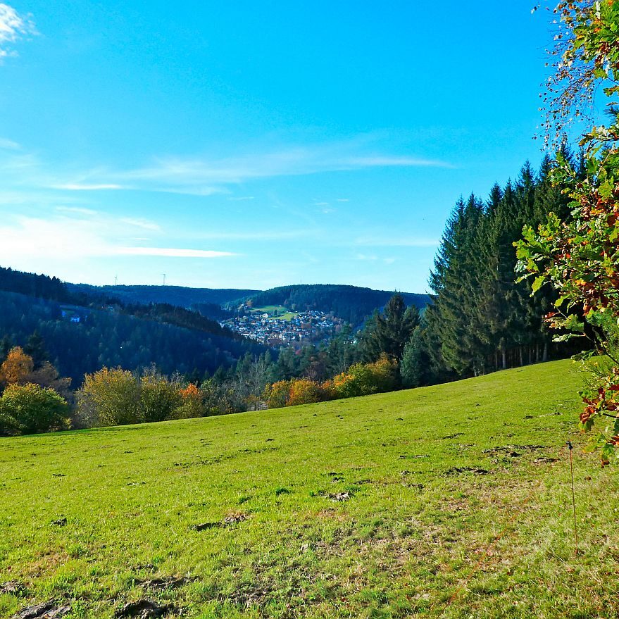 Herbst Dorfberg Bühl Halde 13