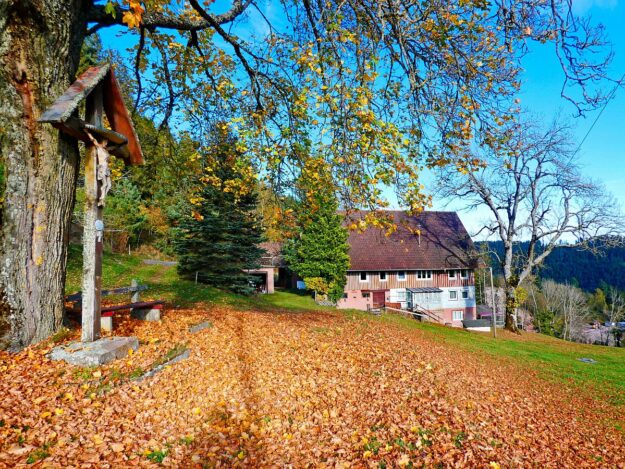 Herbst Dorfberg Bühl Halde 18