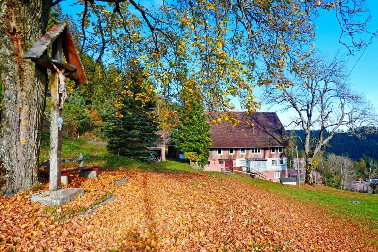 Herbst Dorfberg Bühl Halde 18 Herbst Dorfberg Bühl Halde 18