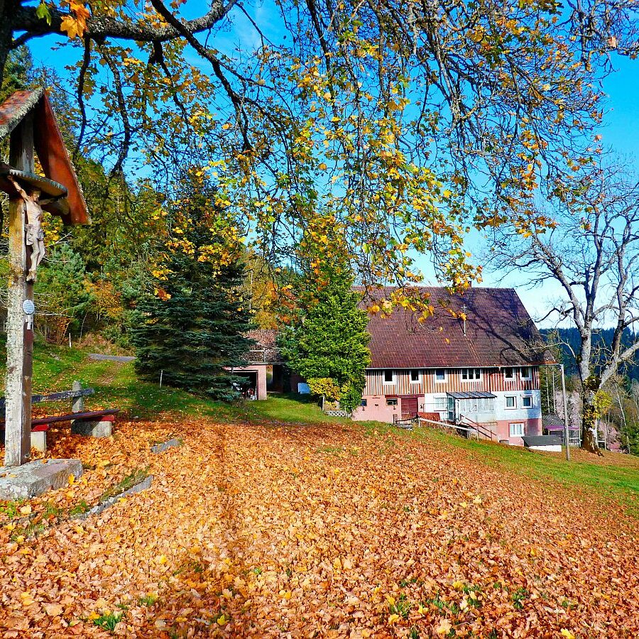 Herbst Dorfberg Bühl Halde 18