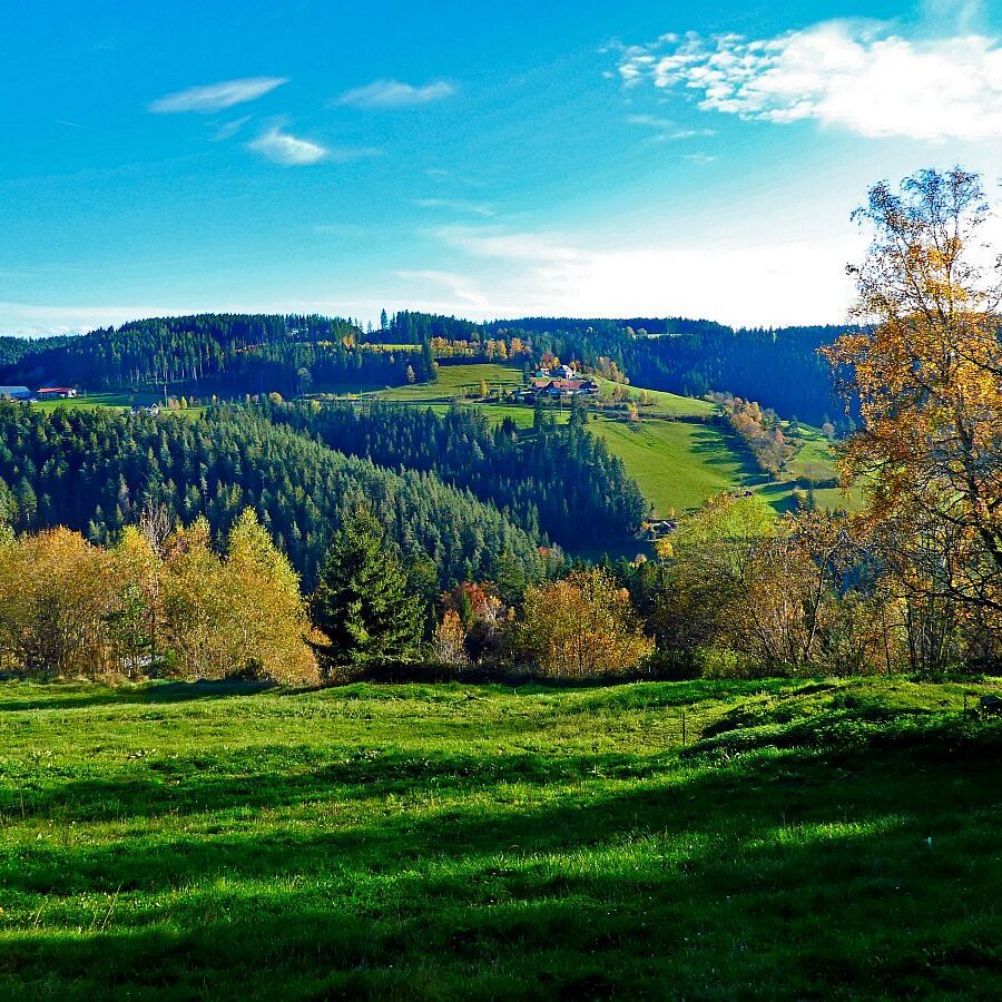 Herbst Dorfberg Bühl Halde 19