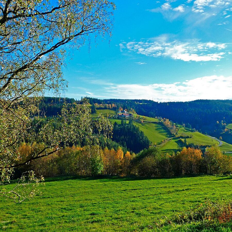 Herbst Dorfberg Bühl Halde 20
