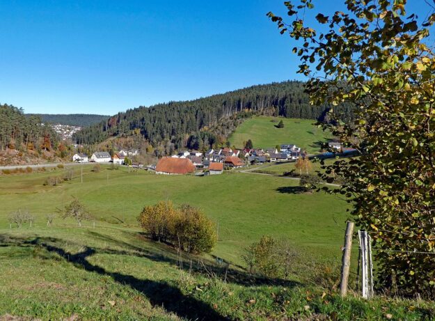Schützen Kohlwald Leihwies sommerberg M ooshof 02