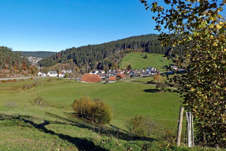 Schützen Kohlwald Leihwies sommerberg M ooshof 02 Schützen Kohlwald Leihwies sommerberg M ooshof 02