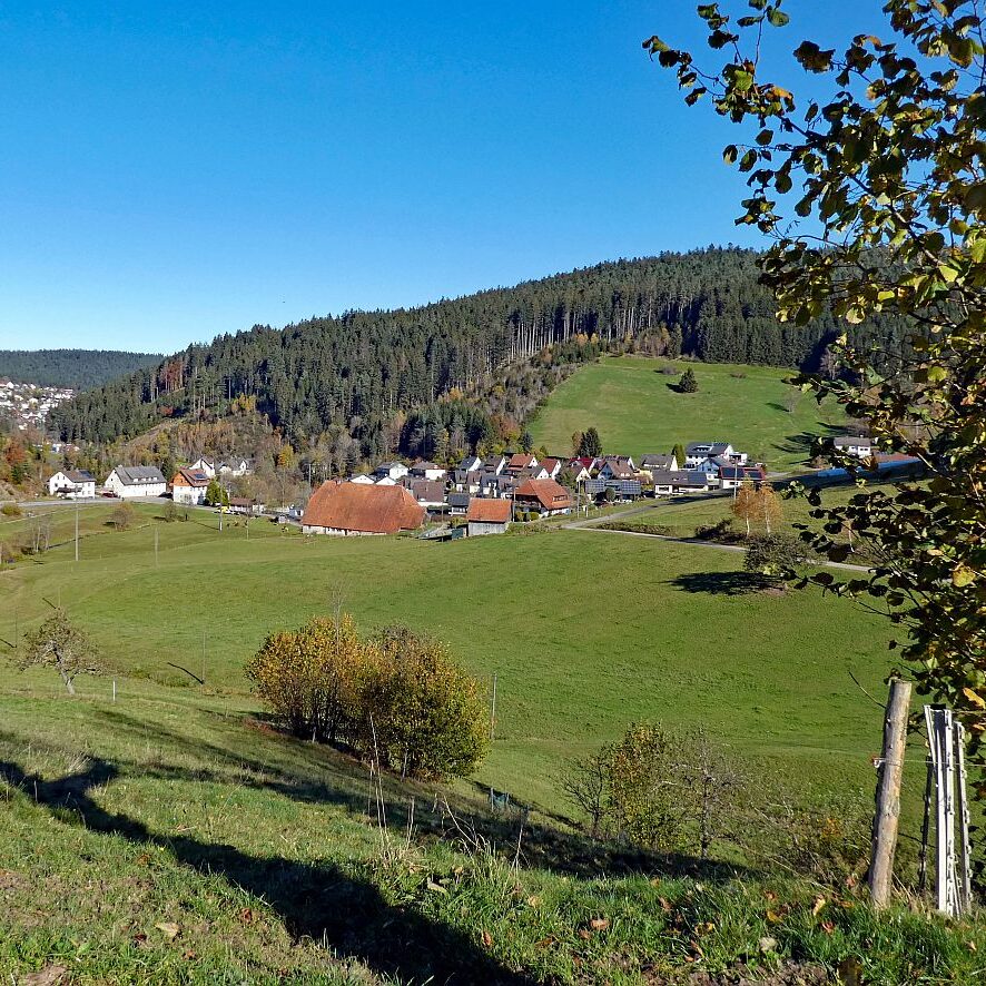 Schützen Kohlwald Leihwies sommerberg M ooshof 02