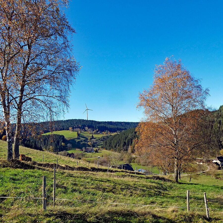 Schützen Kohlwald Leihwies sommerberg M ooshof 03