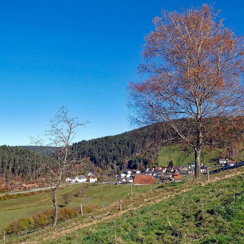 Schützen Kohlwald Leihwies sommerberg M ooshof 04