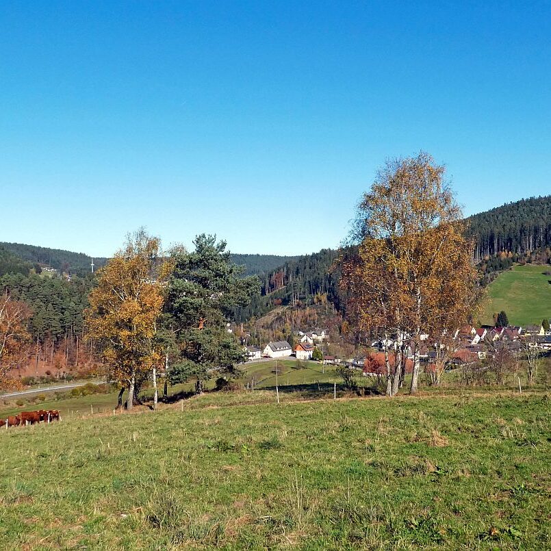Schützen Kohlwald Leihwies sommerberg M ooshof 07