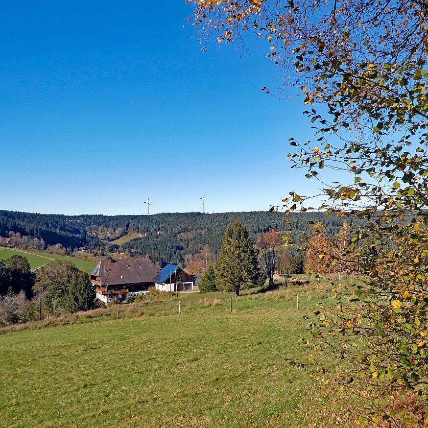 Schützen Kohlwald Leihwies sommerberg M ooshof 09