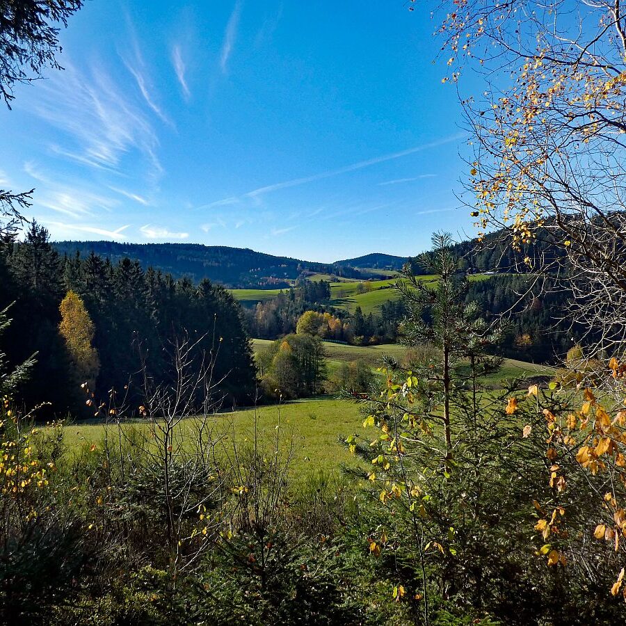 Schützen Kohlwald Leihwies sommerberg M ooshof 12
