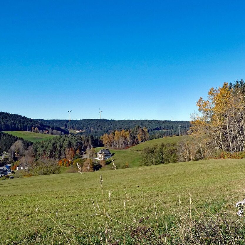 Schützen Kohlwald Leihwies sommerberg M ooshof 13