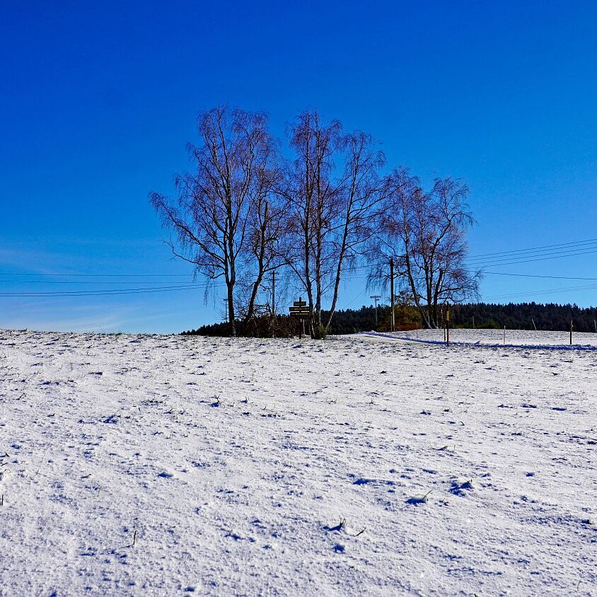 Winter schützen Hub Mittelberg 04